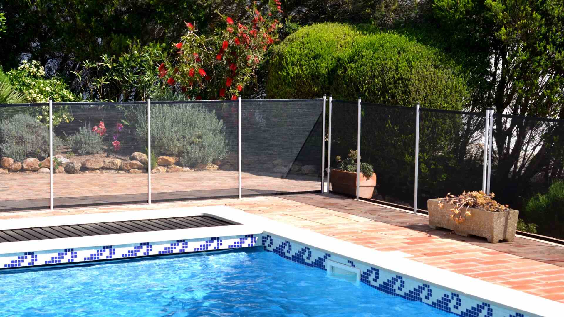 Pool Fence